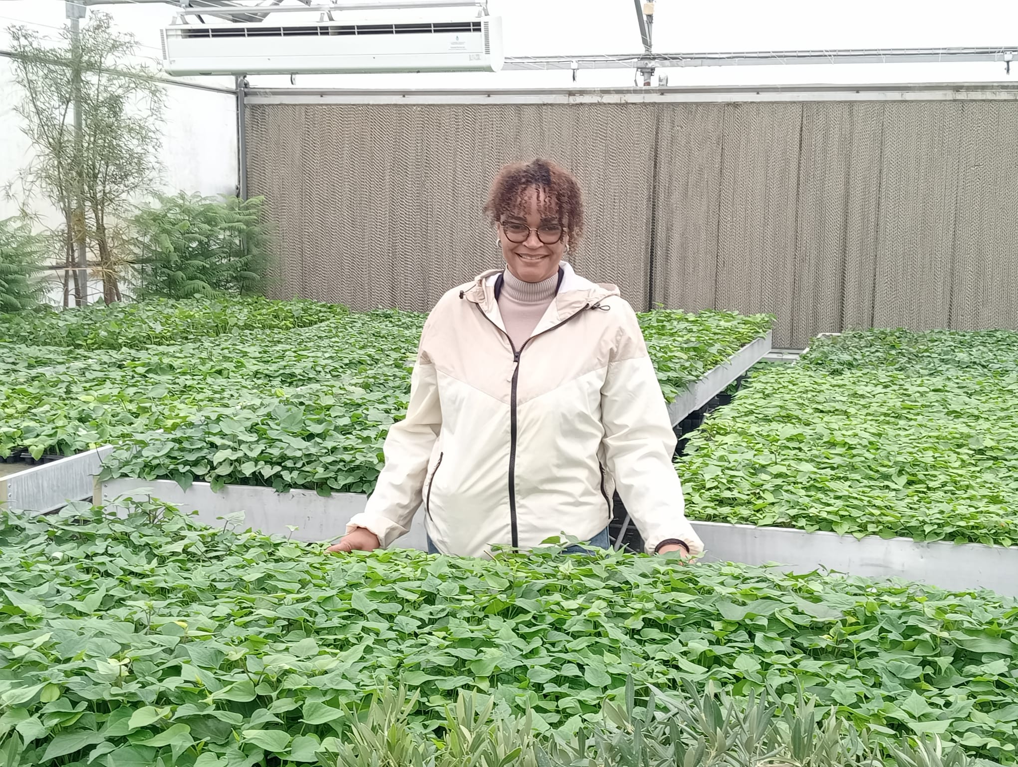 Docente aprofunda investigação em Biotecnologia Vegetal na Universidade de Évora ao abrigo do programa Erasmus+ ProCTEM+