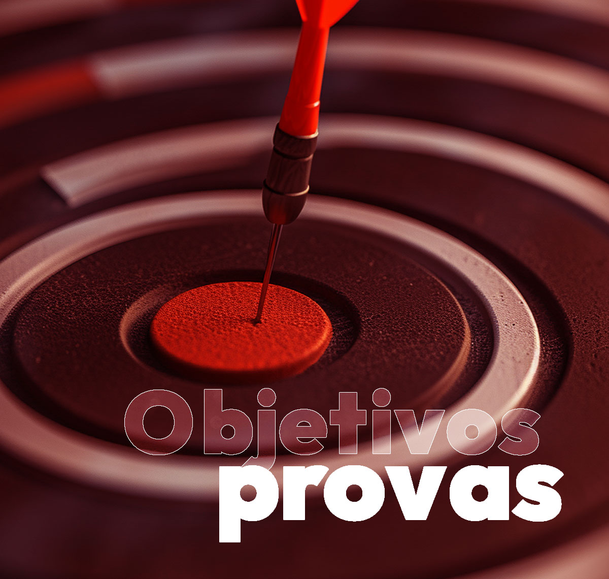 objectivos_f234e.jpg