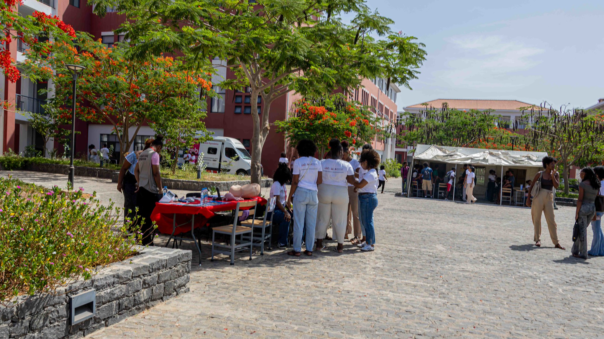 Ativa.Mente: ENG promove Feira de Saúde e desafia jovens a adotarem estilos de vida mais saudáveis