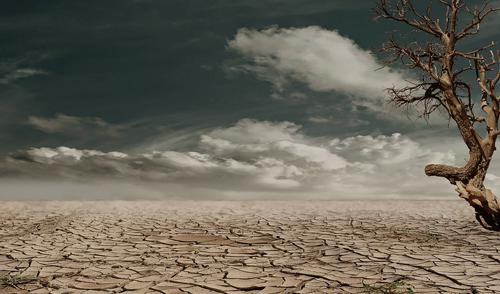 dia mundial de luta contra a desertificacao e a seca